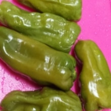 簡単 ピーマンの苦味の取り方 レシピ 作り方 By みずたまsweet 楽天レシピ 簡単 ピーマンの苦味の取り方 レシピ 作り方 By みずたまsweet 楽天レシピ